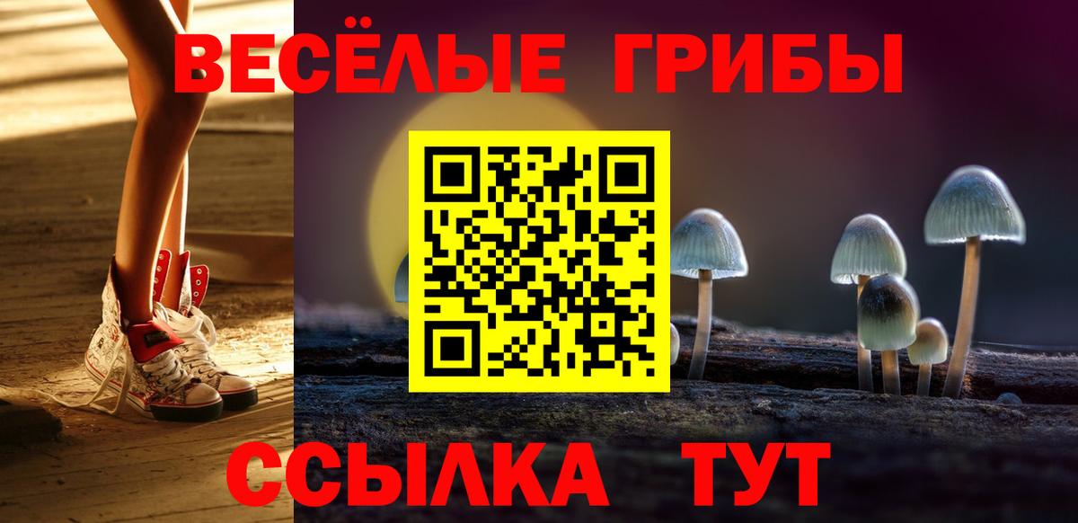 Псилоцибиновые грибы ЛСД  Вход с VPN  Добрянка  закладка  Псилоцибиновые грибы Psilocybine cubensis 
